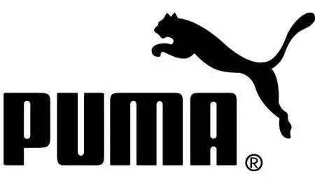 puma是什么意思